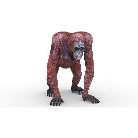 Orangutan Female 3D model